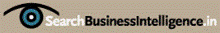 SearchBusinessIntelligence, Business Intelligence 2.0, BusinessAnalitics